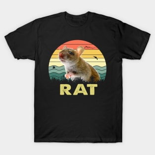 Rat Sassy Rat Shirt Playful Purr-fection T-Shirt